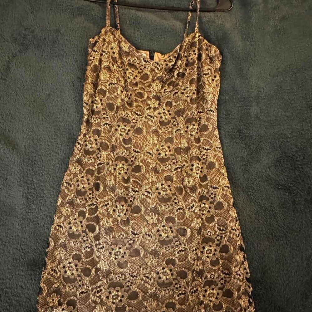 Bebe Women's Brown and Black Dress
